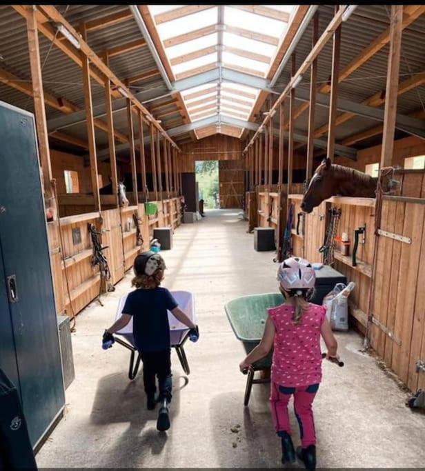 Ferienwohnung Beim Pferdehof Neuenstein  外观 照片