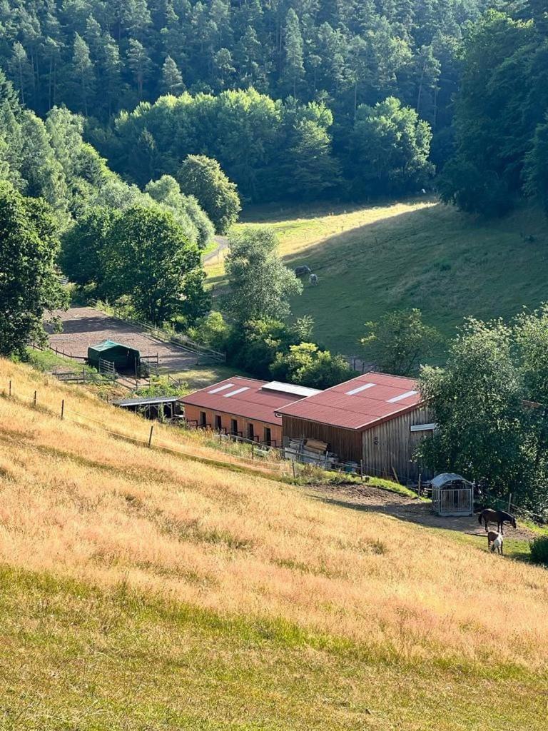 Ferienwohnung Beim Pferdehof Neuenstein  外观 照片