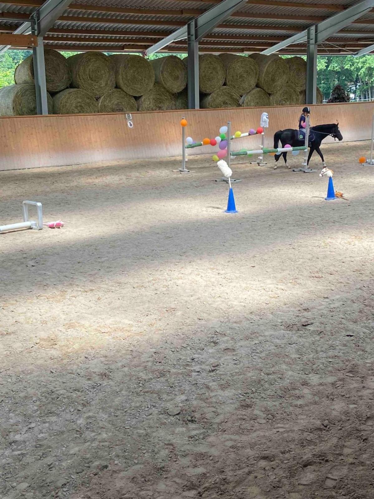 Ferienwohnung Beim Pferdehof Neuenstein  外观 照片